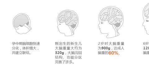 了解早期儿童教育的基本理念-幼儿园课程的概念 (了解早期儿童的特征)