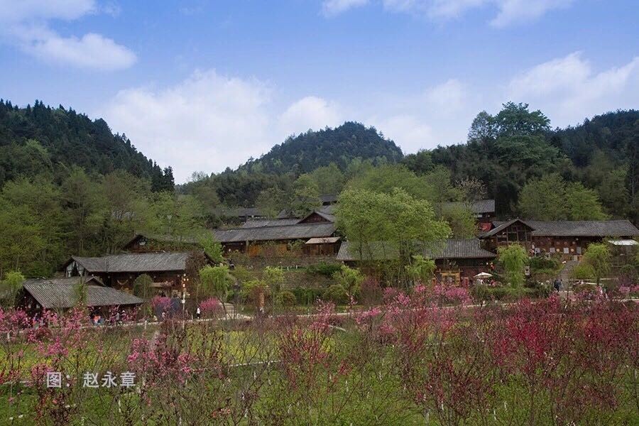 全域旅游看贵州|正安桃花源景区开园试运营吸引八方游客