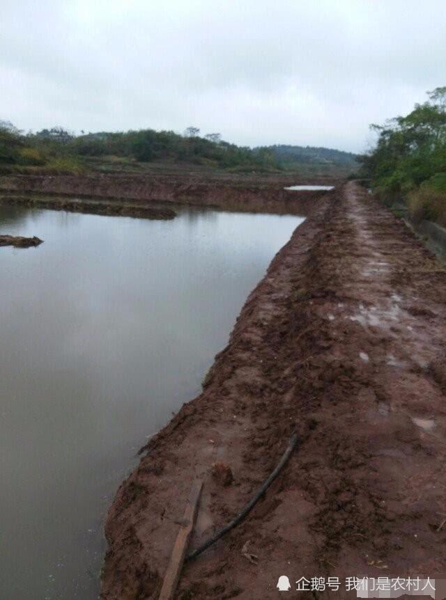 养殖小龙虾一亩地投资多少钱,利润多高?