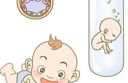 试管婴儿到了v食谱后,5款食谱,安神养胎小食丰谱营养瘦身图片