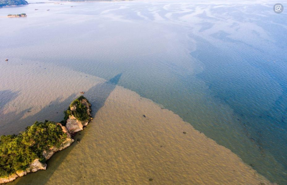 中国第一大淡水湖干涸变草原,水究竟去了哪里?