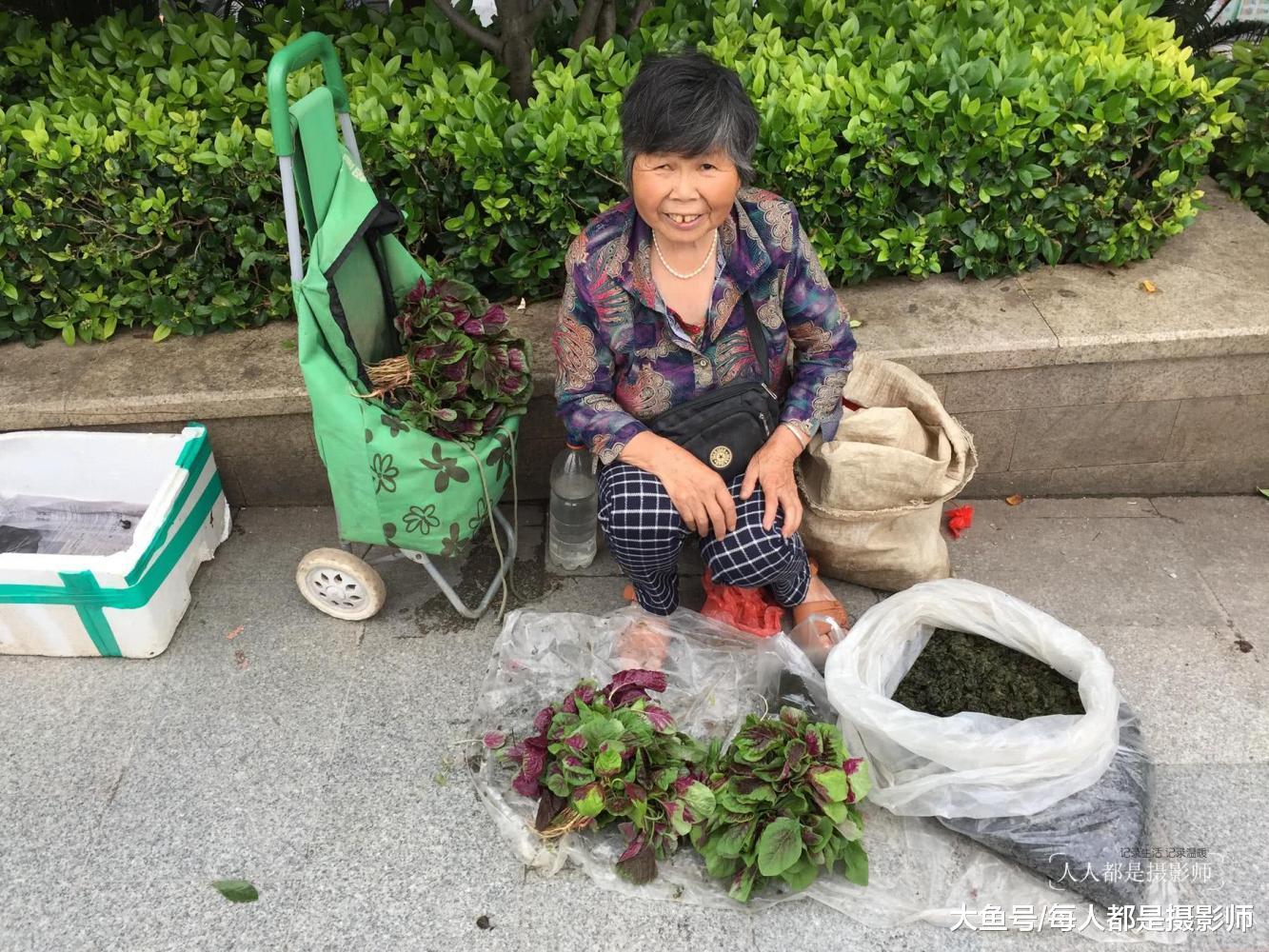 湖北77岁奶奶挖野菜城里售卖, 人们却嫌脏怕有