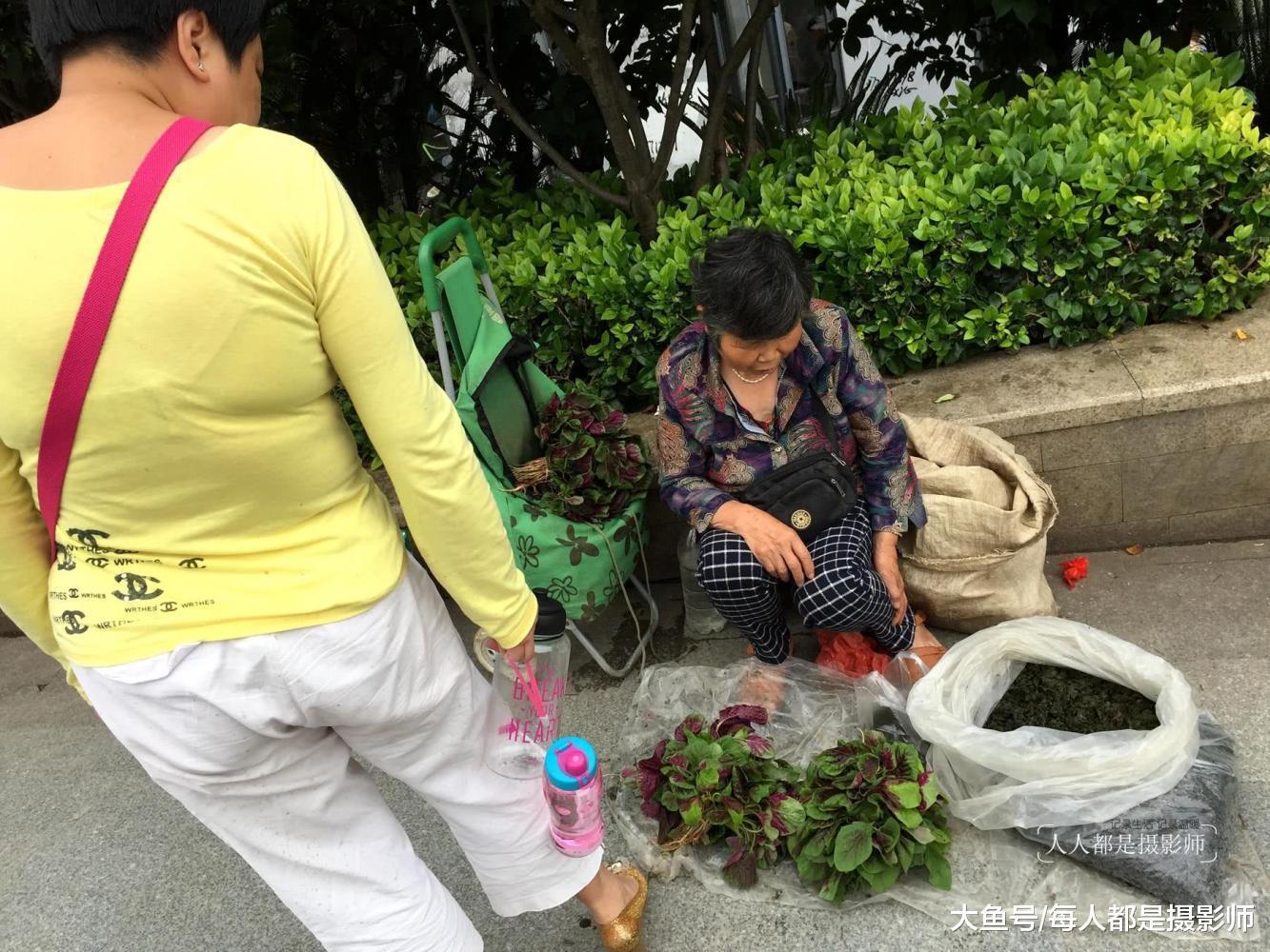 湖北77岁奶奶挖野菜城里售卖, 人们却嫌脏怕有