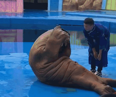 西安华夏文旅海洋公园，西安水世界，咱西安人专属的水乐园