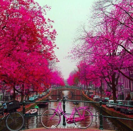 我已经成了随意听荤段子都不会脸红的女生,可