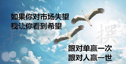 段浩雨:炒黄金为什么亏多赚少?自己有找过原因