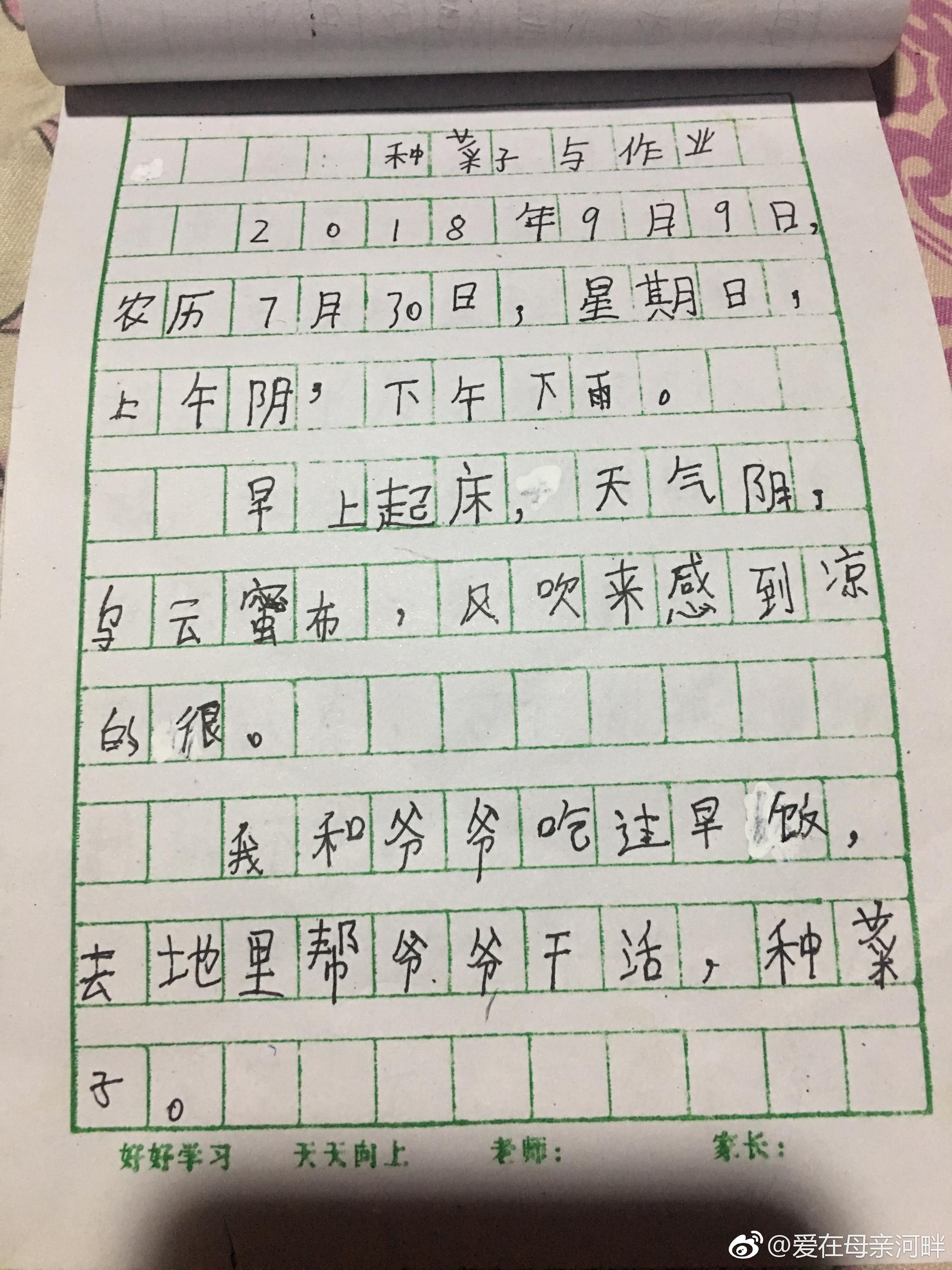 小学三年级学生写日记,感叹"做一个农民好难"