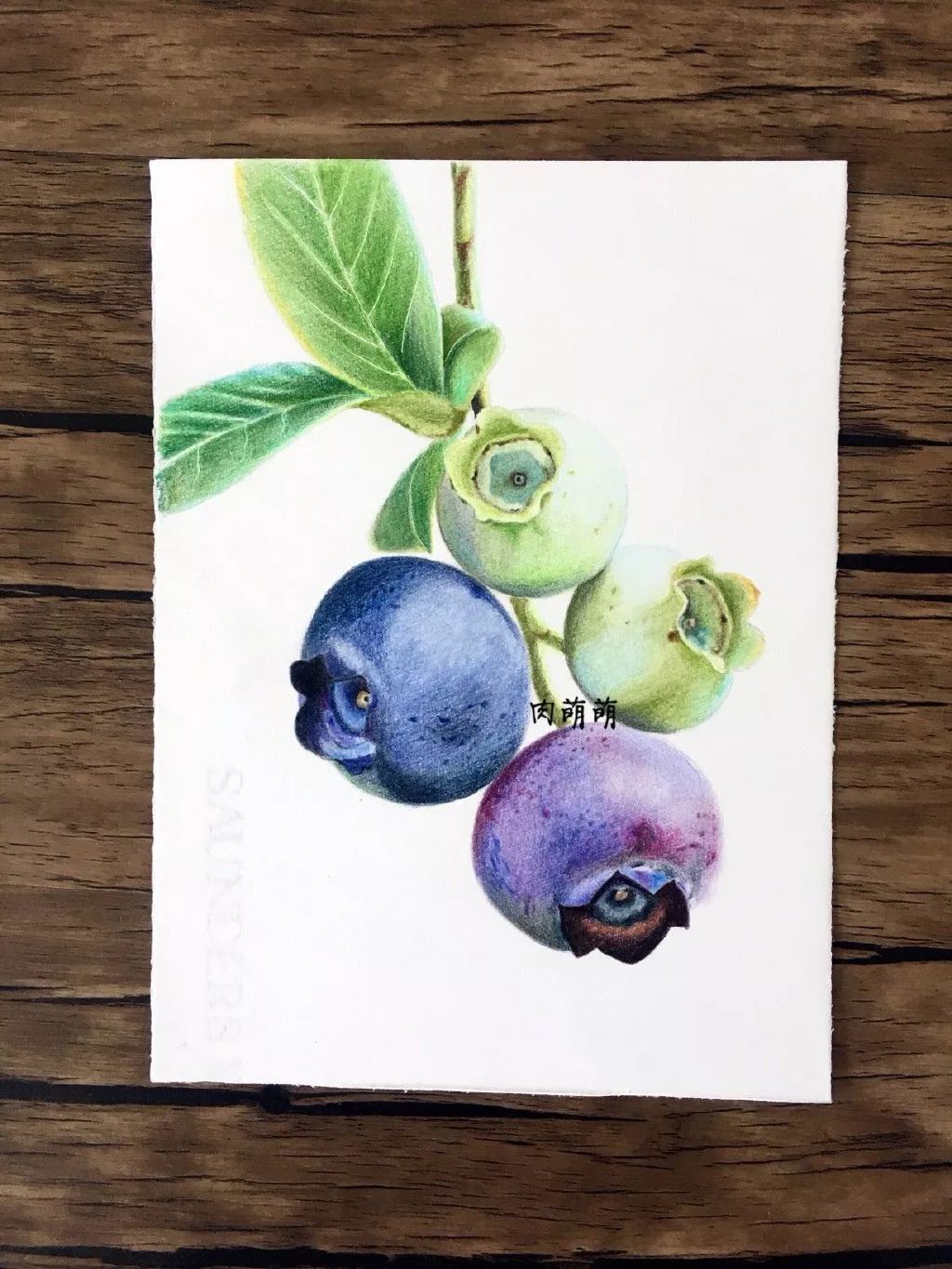 彩铅手绘,教你画一串蓝莓
