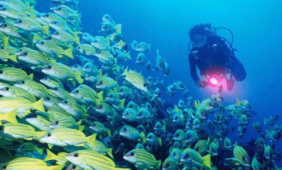 看看当年南海坠机事件中美国军机的迫降地,如