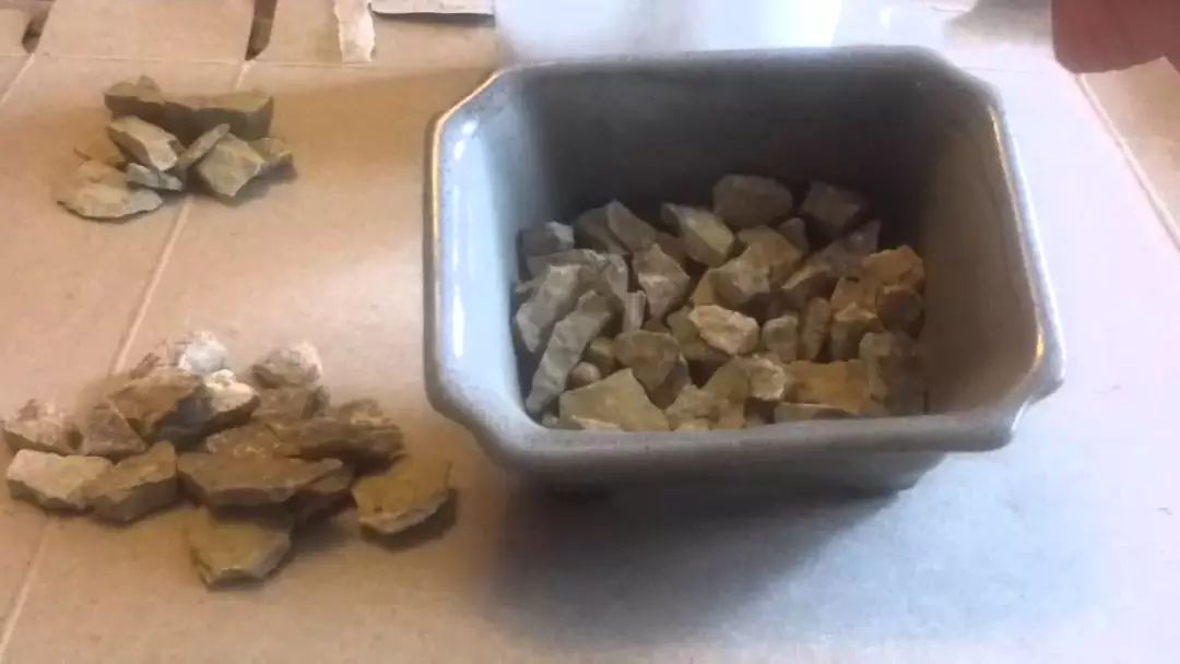 用樱桃种子播种育苗的方法,看看多久能够长成