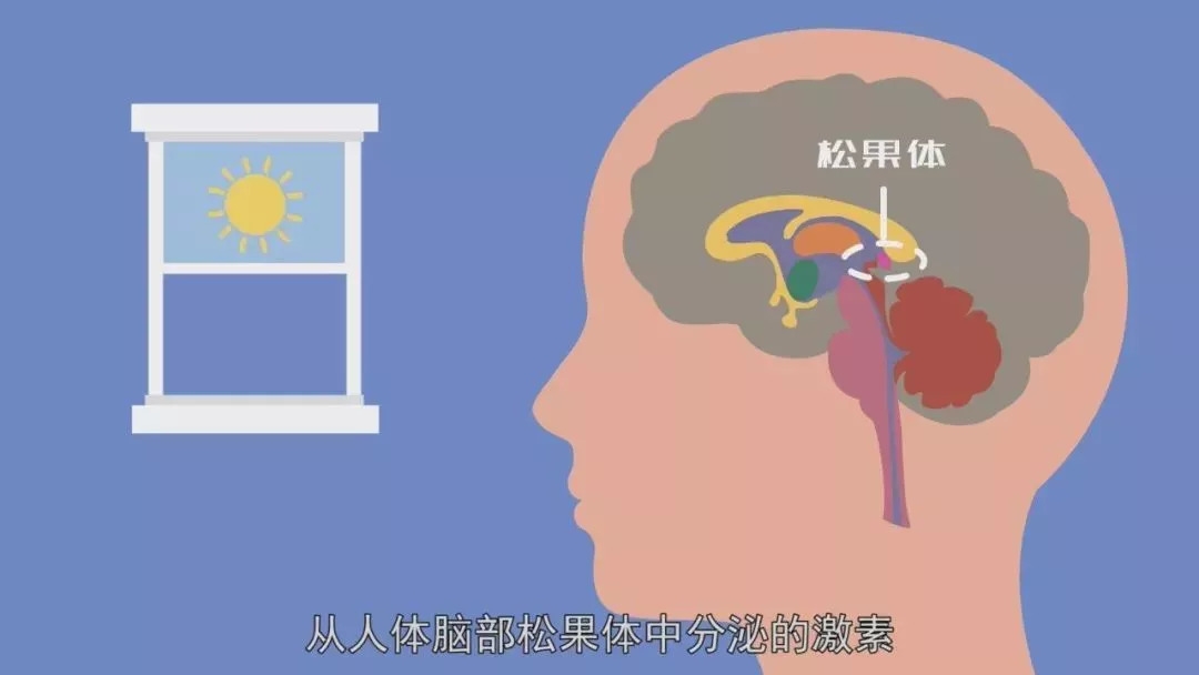人口太多吃饭问题_孩子不好好吃饭,是因为家长做错了,只有家长改变,孩子才能