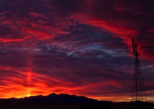 适合发朋友圈的句子:低调安静是人生中一种美