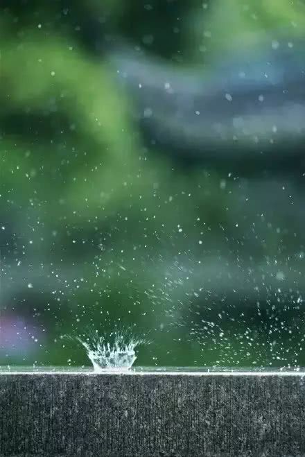 首先拍摄的角度要低,最好蹲下或者接近地面;快门速度要高,在雨滴溅