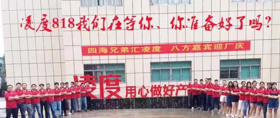 盘点凌度818迎客车队座驾，你喜欢那一台？