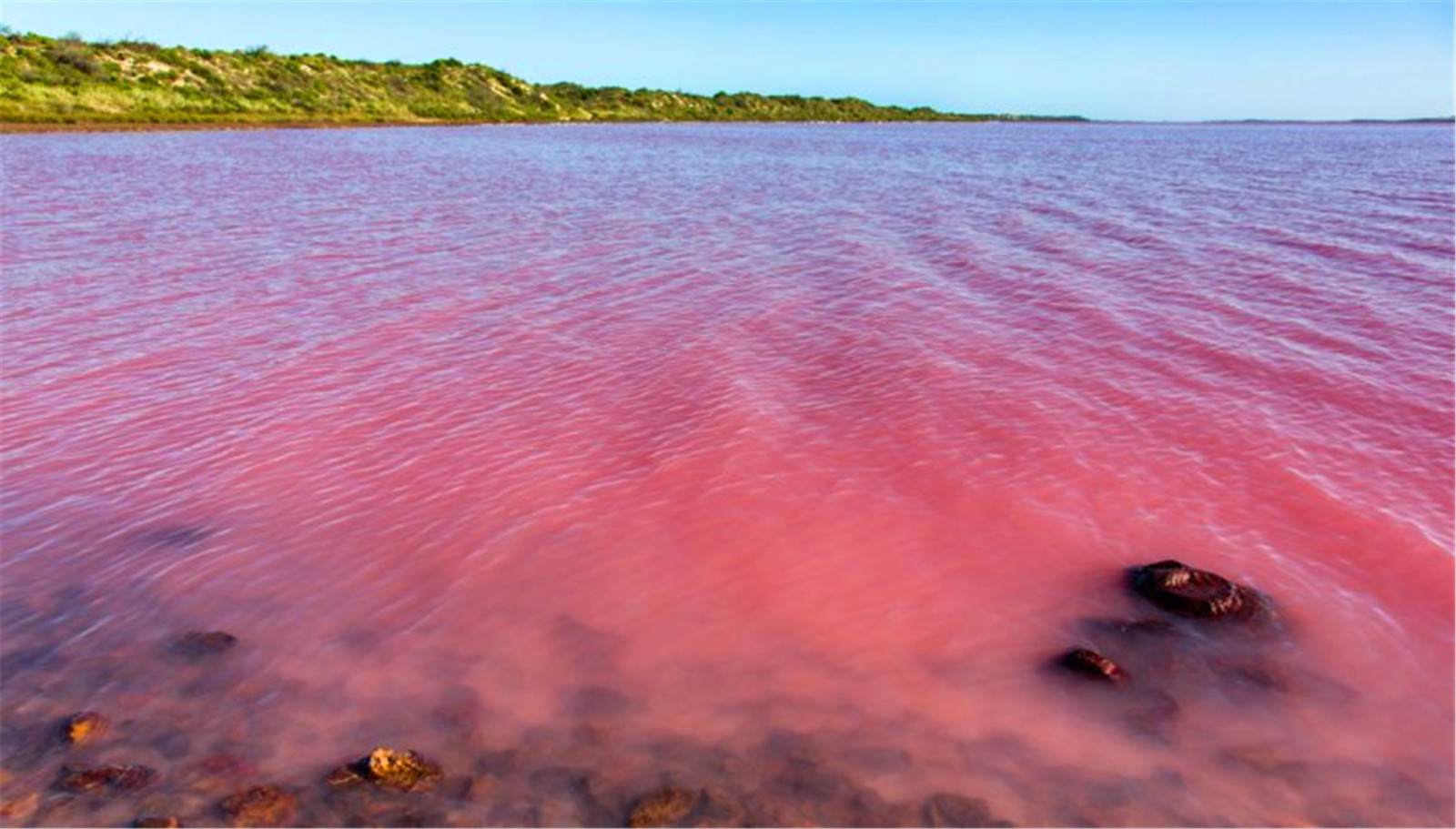 粉后面加两个字是什么颜色词?