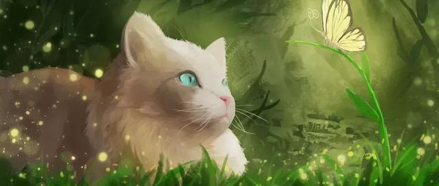 金牛情感升温、双鱼不再迷茫 12星座11.19-11.25运势