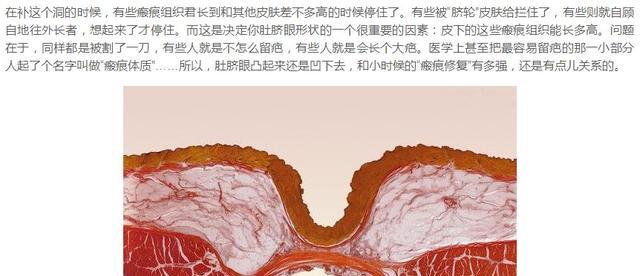 纯八卦:女明星们的肚脐眼(范冰冰杨幂关晓彤赵