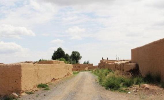 甘肃一村庄具有欧洲血统,专家找到基因证据,却