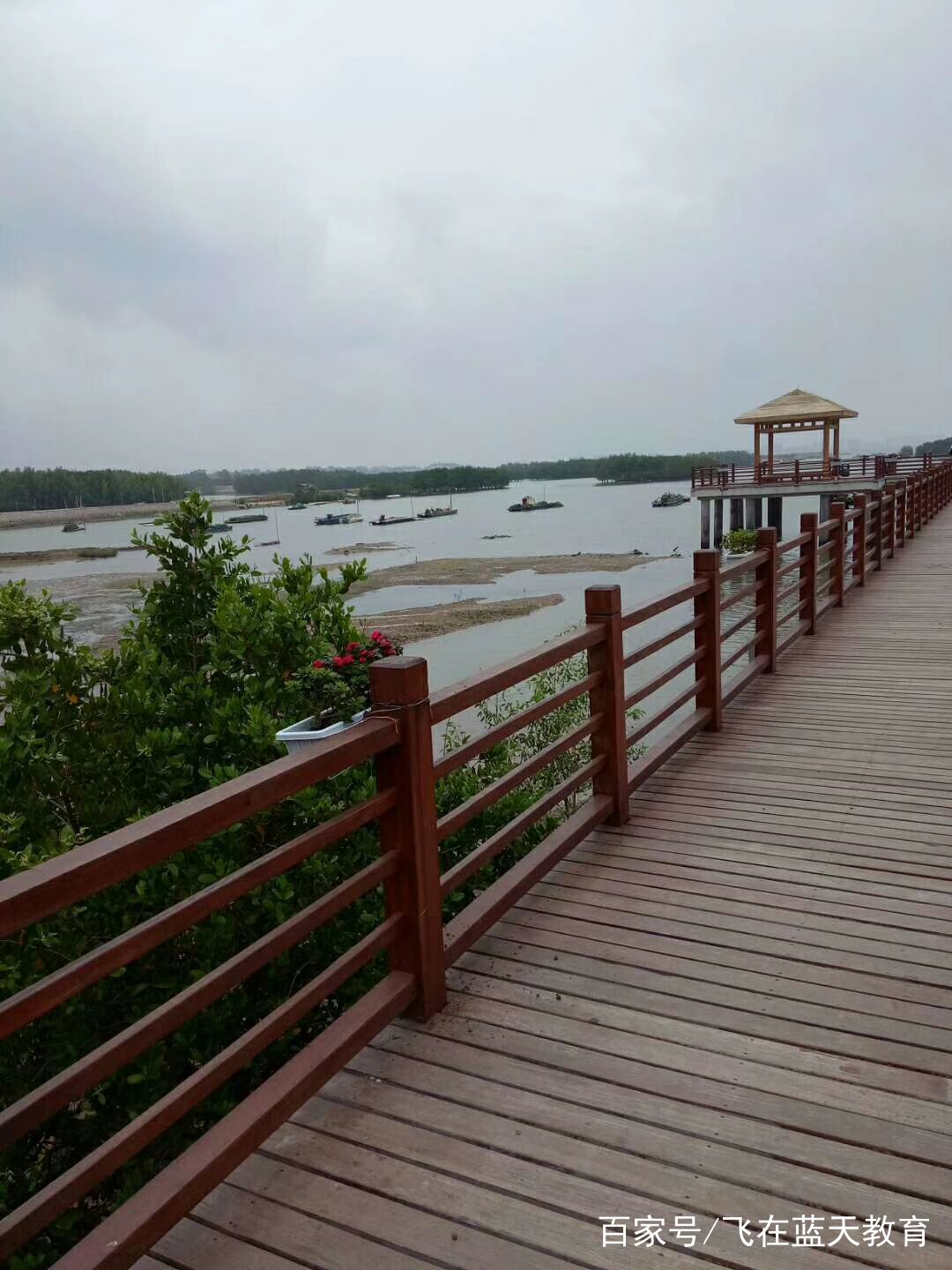 电白最好的学生,在一中的教导下,怎么变成50分就优秀了呢?