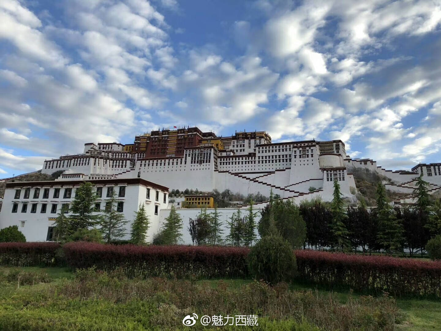 拉萨中小学生,放暑假千万别忘了这个…