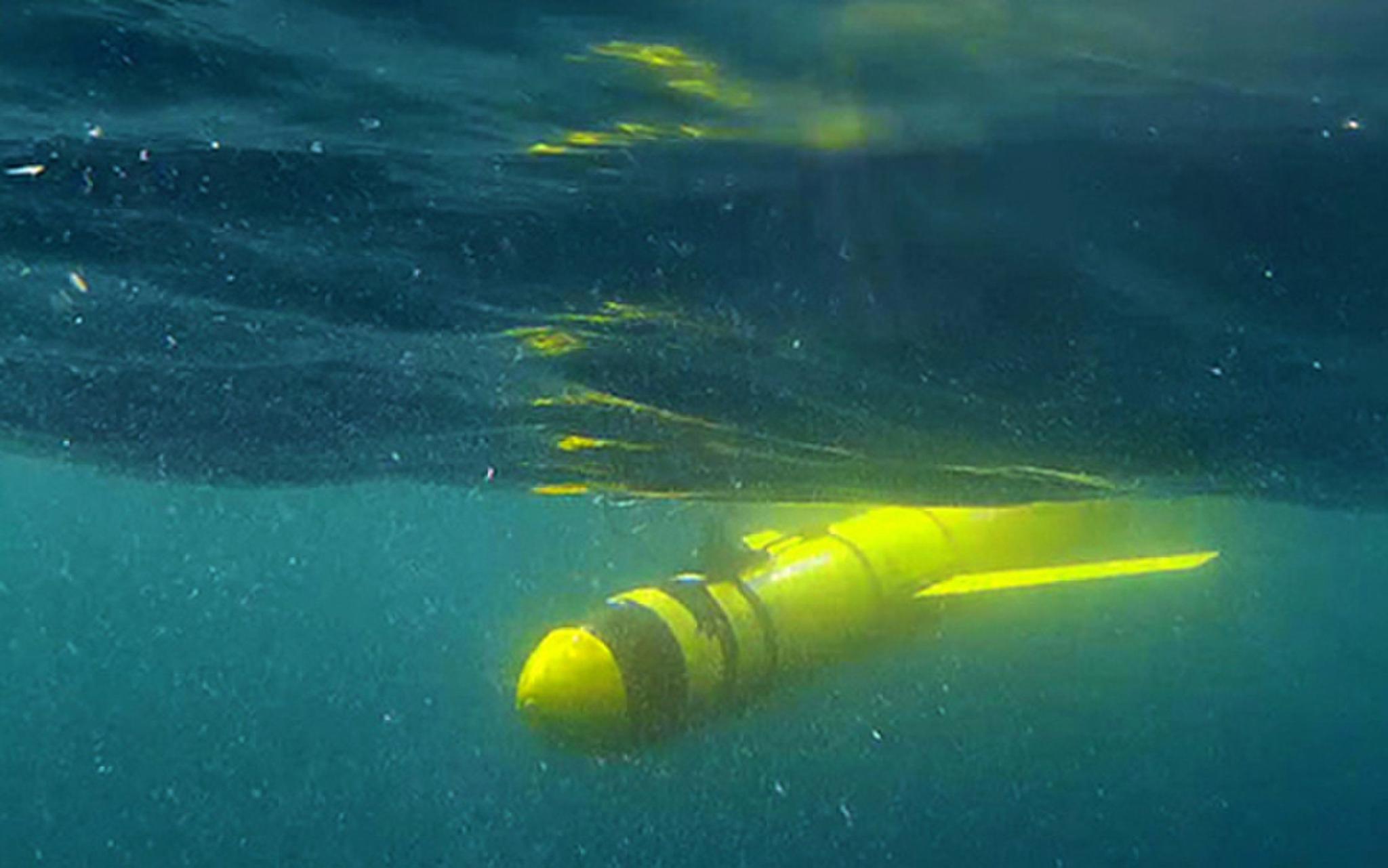 揭示—阿拉伯海的塑料垃圾如何影响你的生活