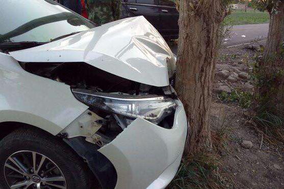 丰田雷凌停着被追尾推到树上，网友：车主赚了