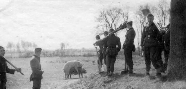 老照片: 监狱里的斯大林, 普京与里根的特别会面