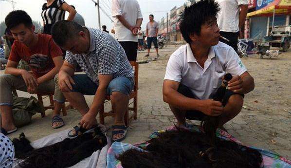 我们在理发店剪下的头发都到哪里去了?收头发