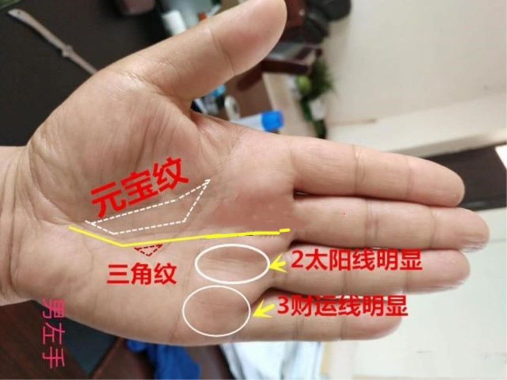 手相中五种手形的分类解释