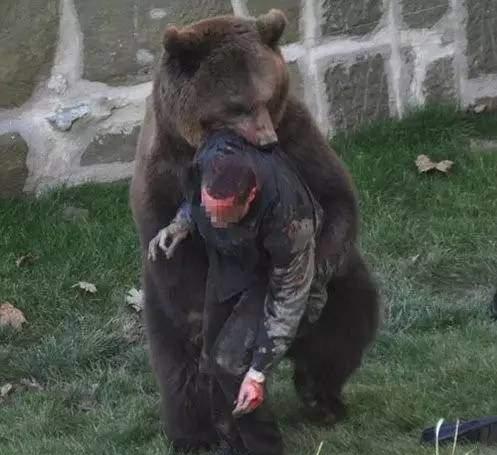 那些死亡前一瞬间拍下的照片,惊心动魄,没有一个人能看到最后