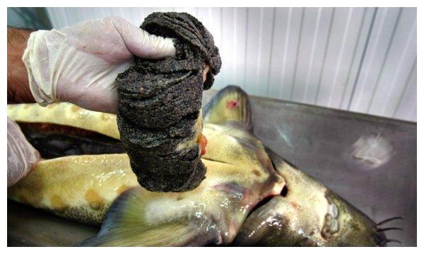 世界上最贵的食物,普通人吃一口就破产,你敢吃