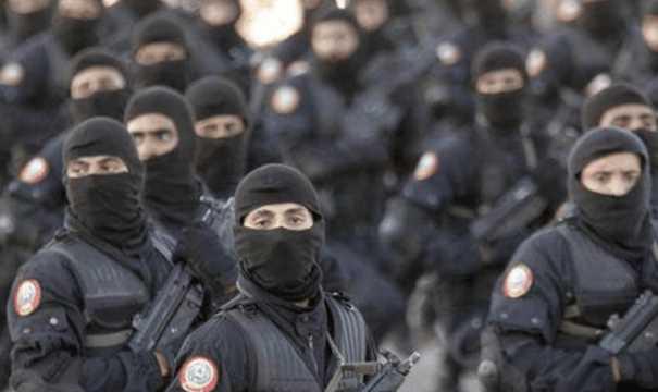 特种兵退伍后都去哪了?他们的选择很现实!