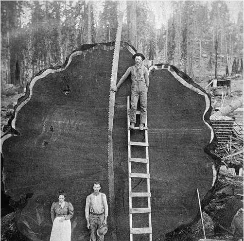 老照片: 监狱里的斯大林, 普京与里根的特别会面