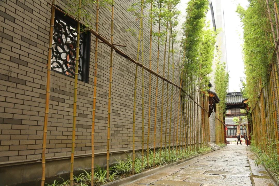 成都六大高颜值景点!不要门票,一天打来回!