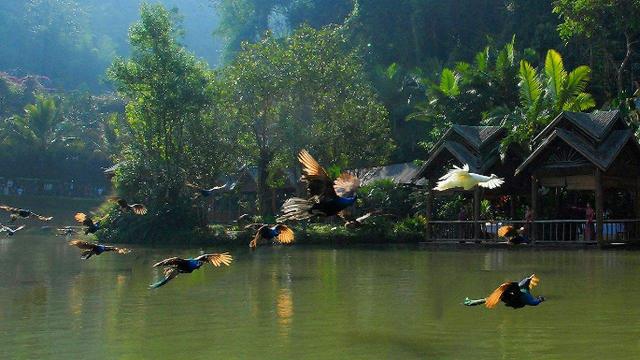 旅游文化：现在去哪里旅游最好？现在去哪旅游最合适？