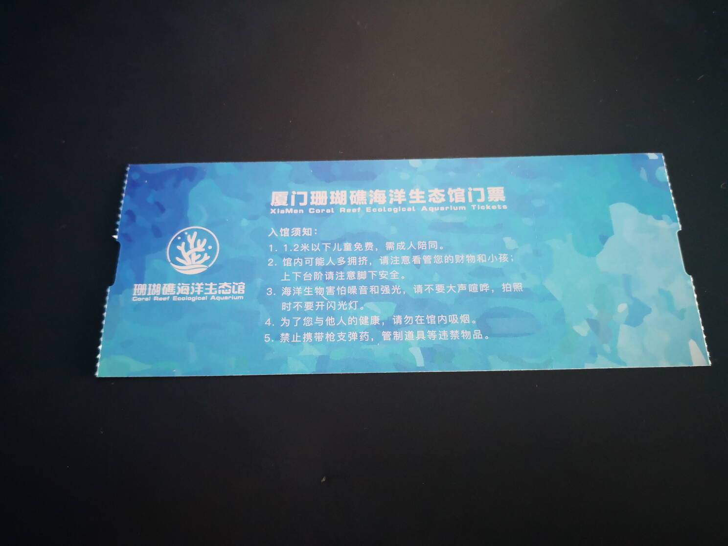 想不到在中山路上也可以开启浪漫唯美的海洋之旅