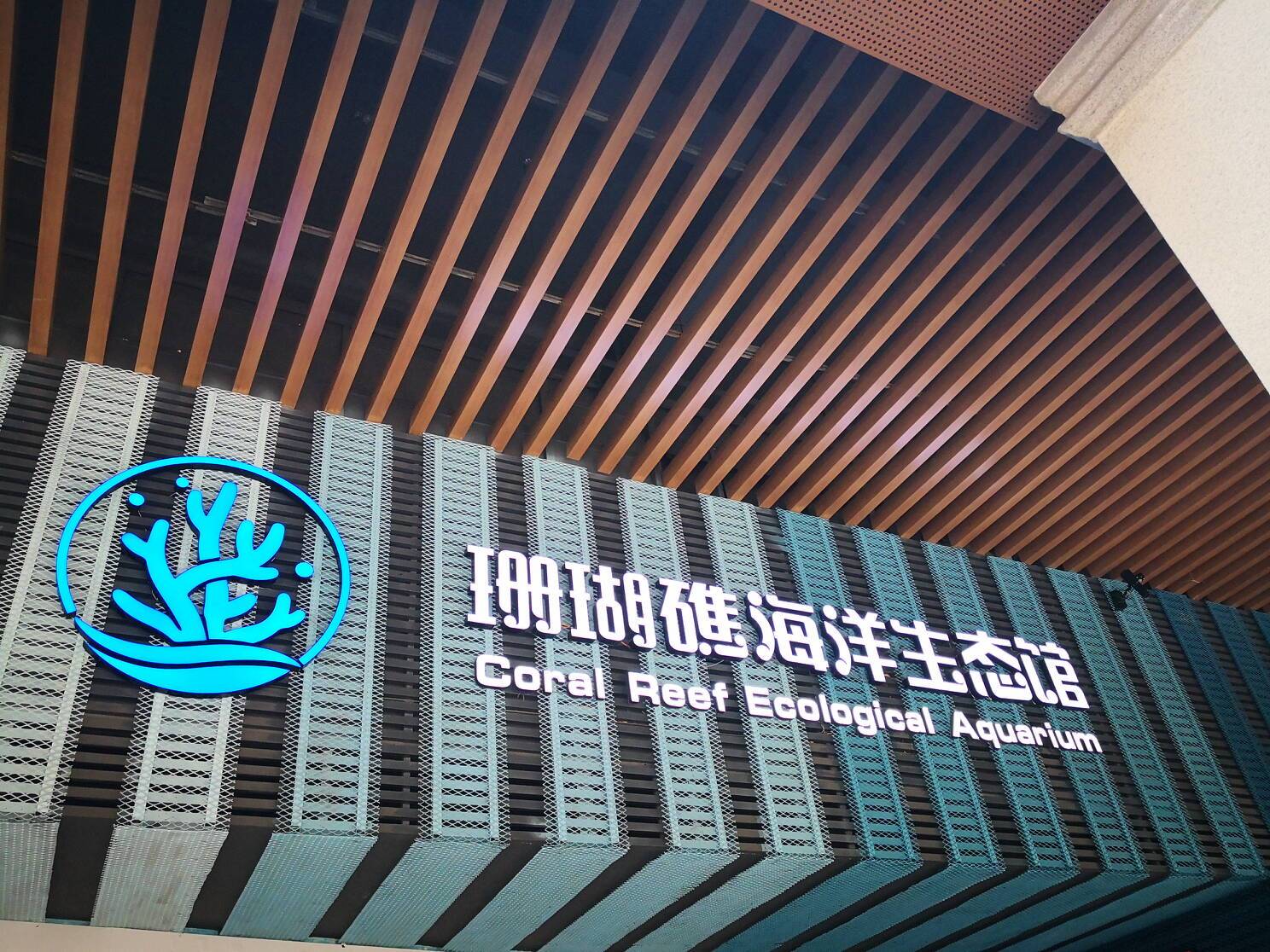 想不到在中山路上也可以开启浪漫唯美的海洋之旅