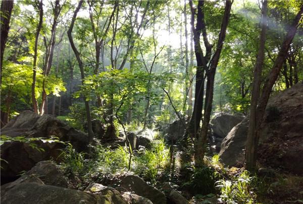 兼职新手如何在快活林论坛赚到第一桶金的实用指南