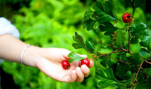 太仙太美了!我有一百万个理由爱上这条古道!