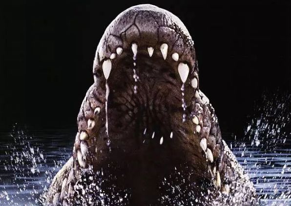 重口!10部生物变异片胆小慎入!