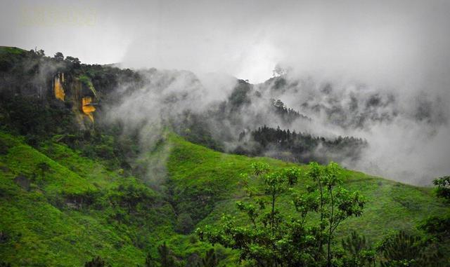 世界上最好的红茶产地原来在这里! 茶好, 风景
