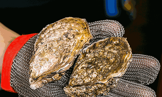 ��ҵ�����򺡱�磡����Ա����綥����򺣡