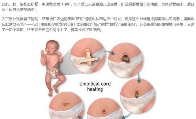 纯八卦:女明星们的肚脐眼(范冰冰杨幂关晓彤赵