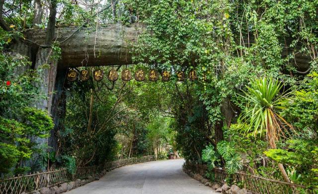 旅游文化：现在去哪里旅游最好？现在去哪旅游最合适？