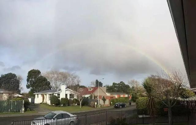 移民三年, 一个普通中国人在新西兰的真实生活