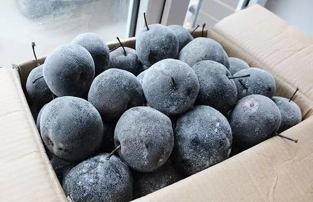 冻梨、冻柿子东北人的两道硬菜,好吃到哭