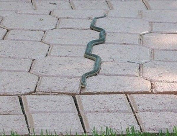 一组非常整齐的图片, 可以让强迫症看着非常舒服!