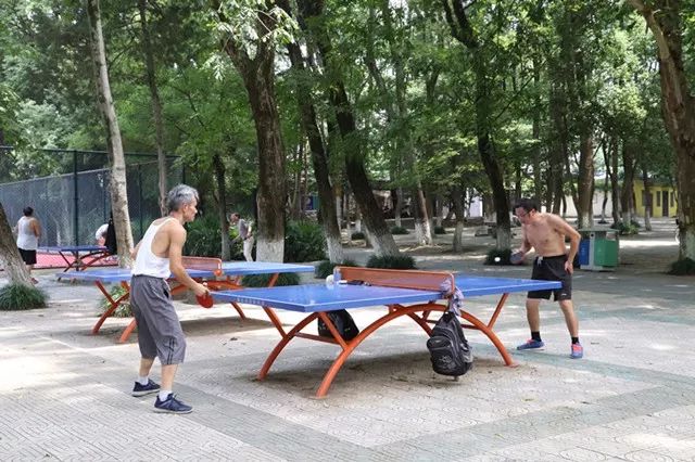 安庆大爷打乒乓球究竟有多厉害,看完你不服都