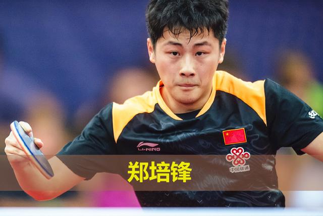 奥地利乒乓球公开赛9日赛程,刘诗雯许昕将战日