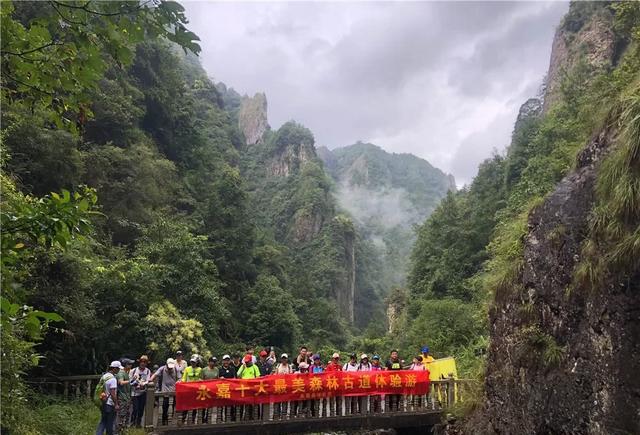 太仙太美了!我有一百万个理由爱上这条古道!